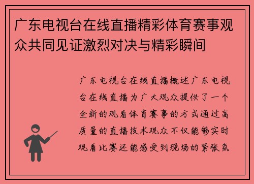 广东电视台在线直播精彩体育赛事观众共同见证激烈对决与精彩瞬间